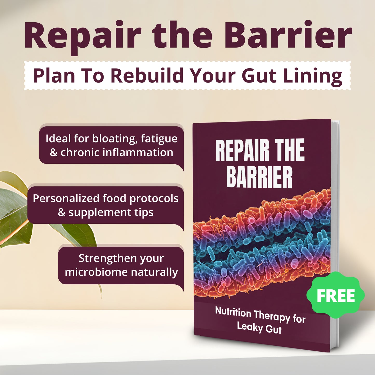 The Gut Reset: Proven Nutrition Strategies (50% OFF + 3 FREE)
