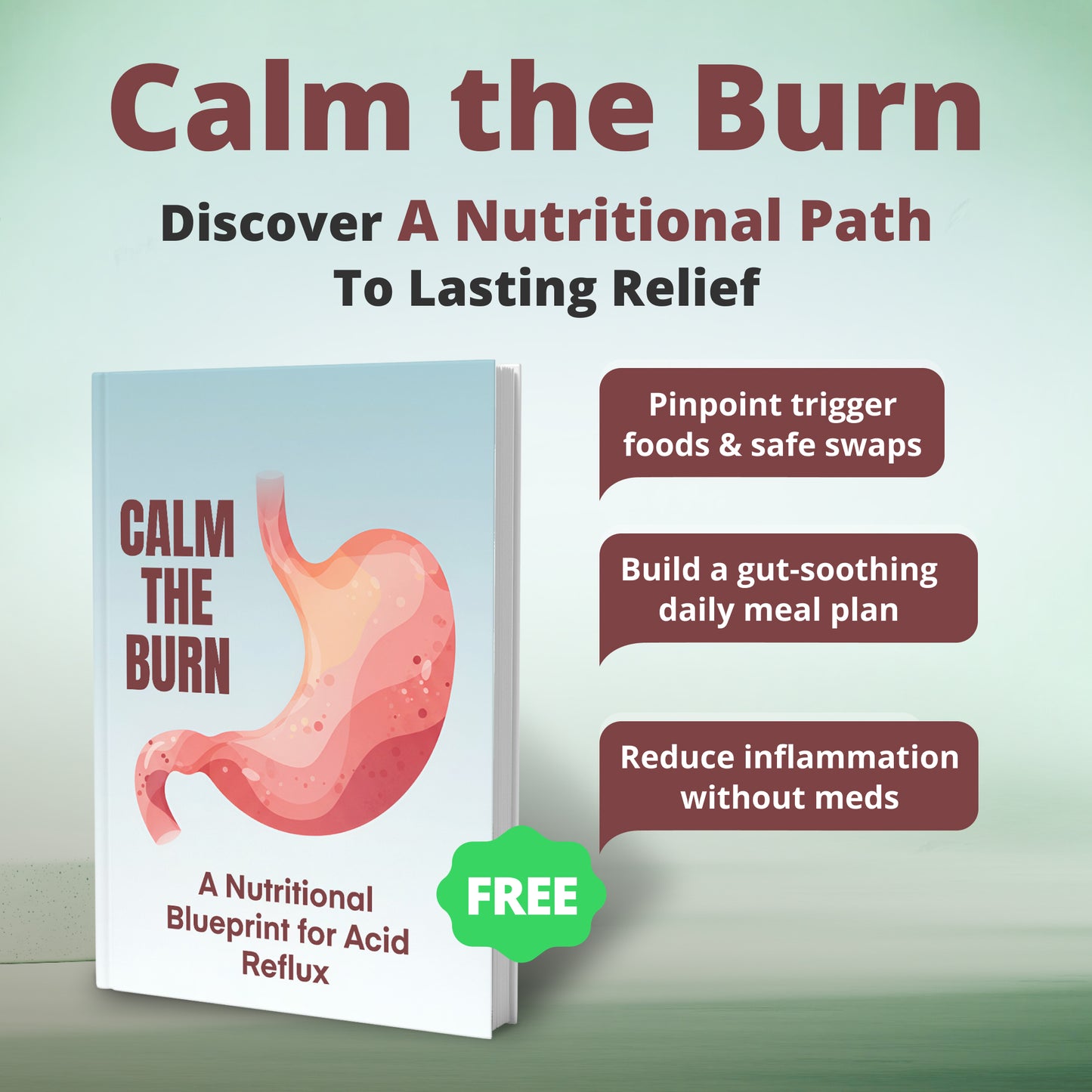 The Gut Reset: Proven Nutrition Strategies (50% OFF + 3 FREE)