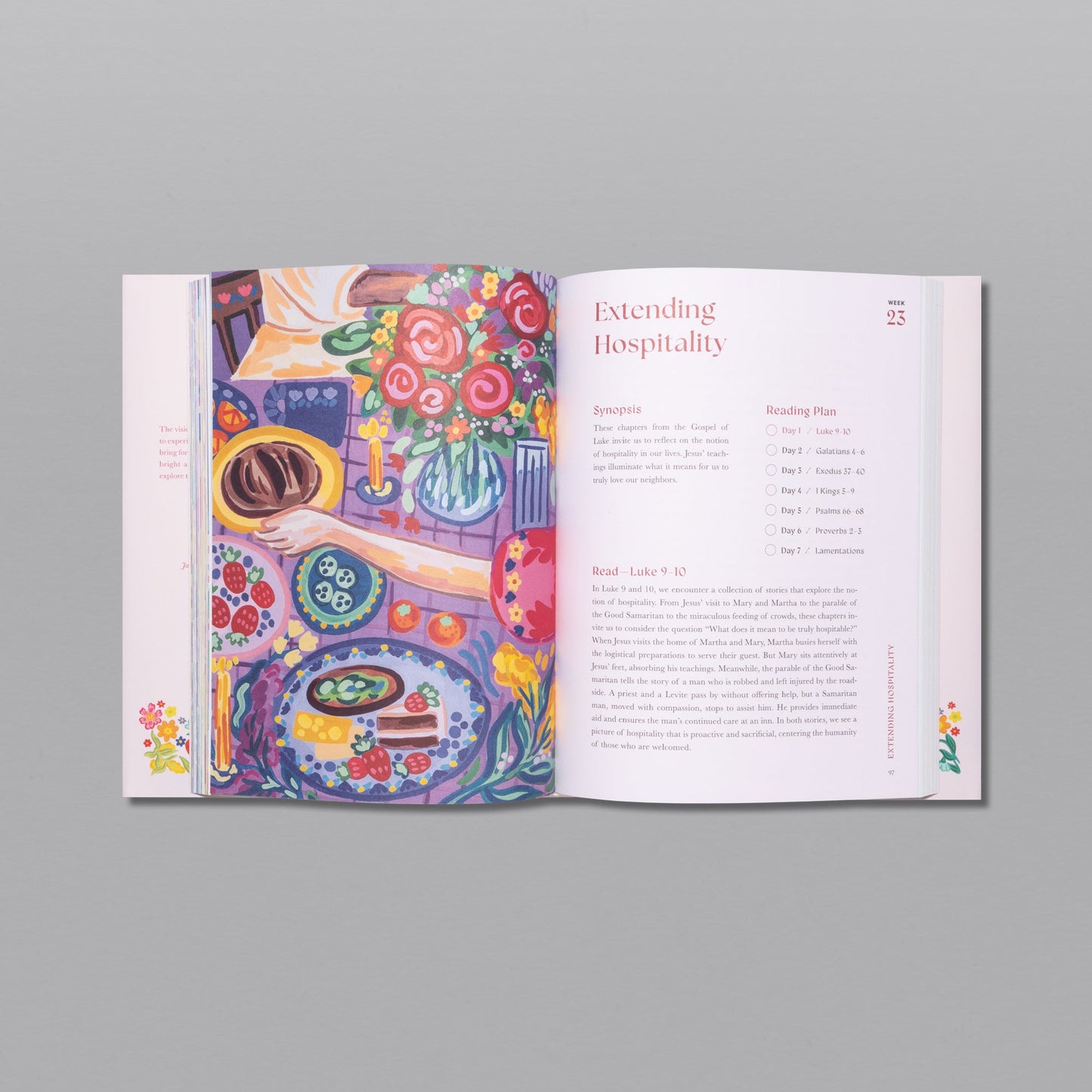 A Beautiful Year in the Bible (50% OFF)
