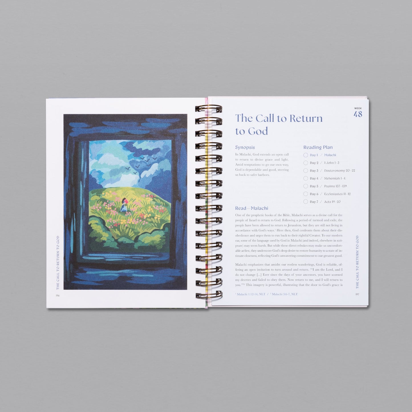 A Beautiful Year in the Bible (50% OFF)