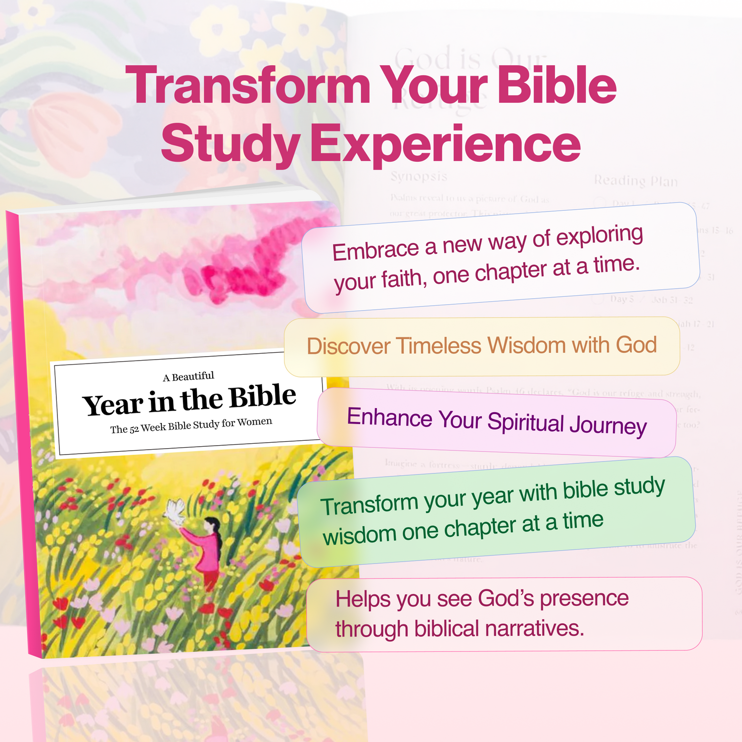 A Beautiful Year in the Bible (50% OFF)